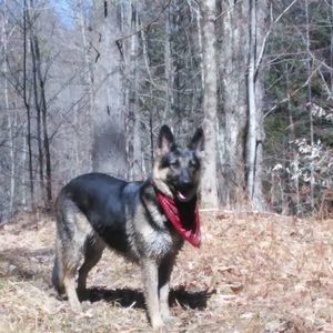 Meet your Posher, Kathy